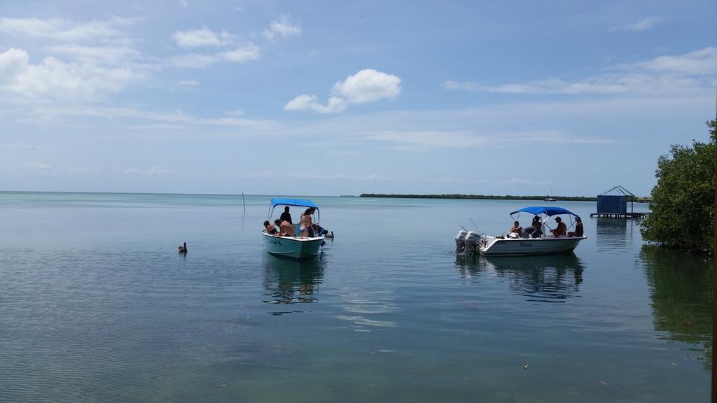 Go Slow Guesthouse Caye Caulker Zewnętrze zdjęcie