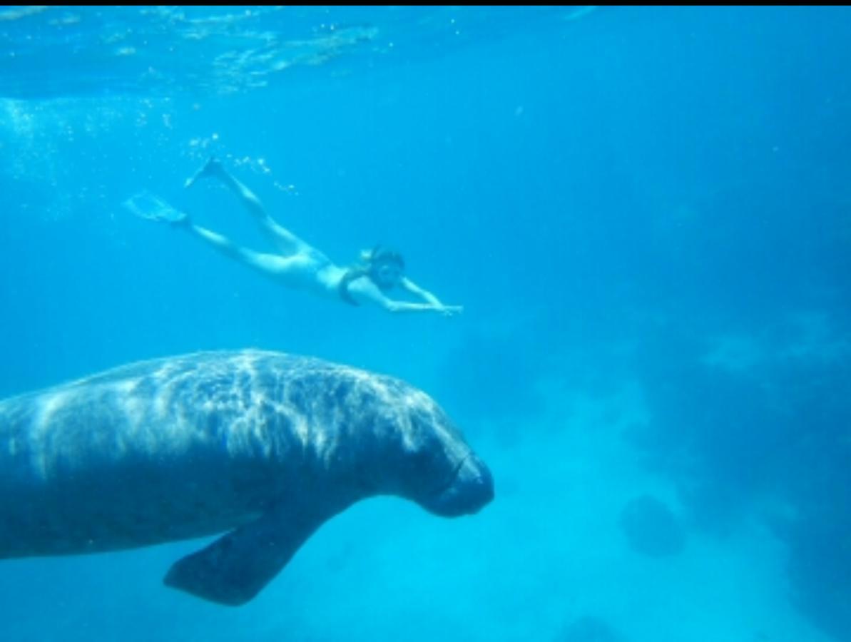 Go Slow Guesthouse Caye Caulker Zewnętrze zdjęcie